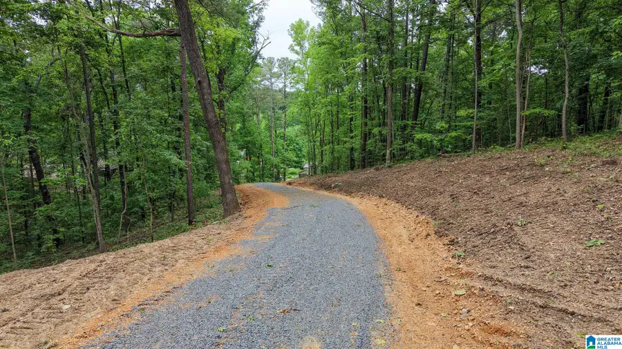 2850 N 11TH AVENUE, Pell City, AL 35125 - #2
