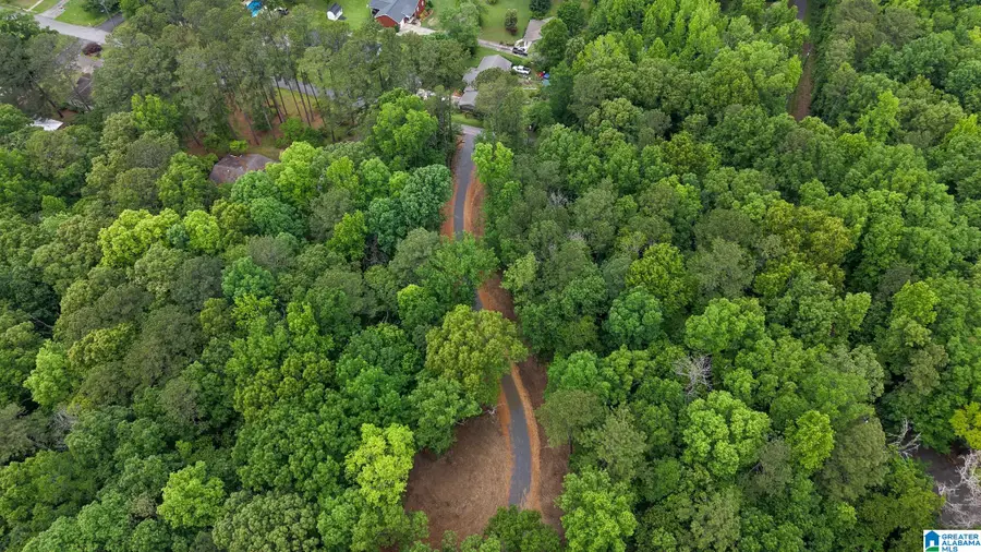2850 N 11TH AVENUE, Pell City, AL 35125 - #3