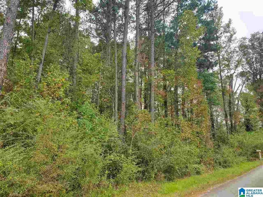 3784 HILLTOP ROAD, Bessemer, AL 35022 - #2