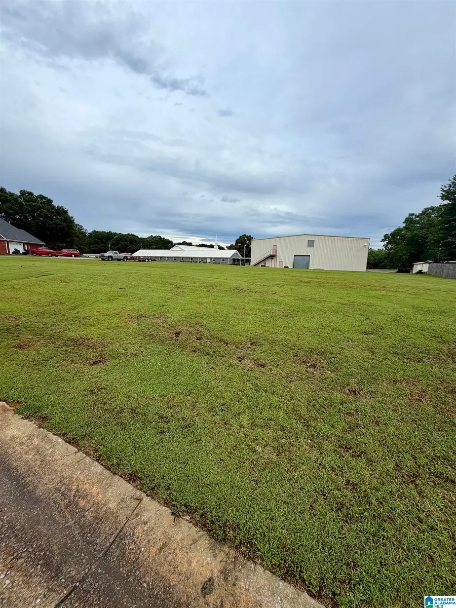 0 HOPE STREET, Clanton, AL 35045 - #3