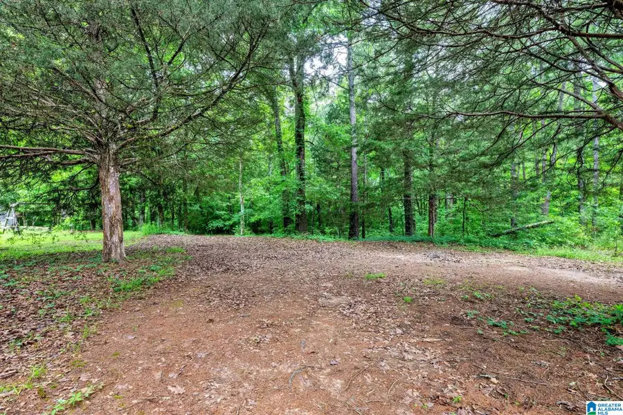 95 WORTHAM ROAD, Trafford, AL 35172 - #3