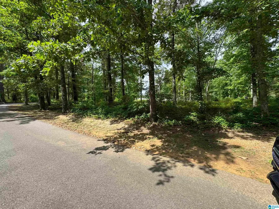 2 RED FOX RUN, Birmingham, AL 35242 - #3