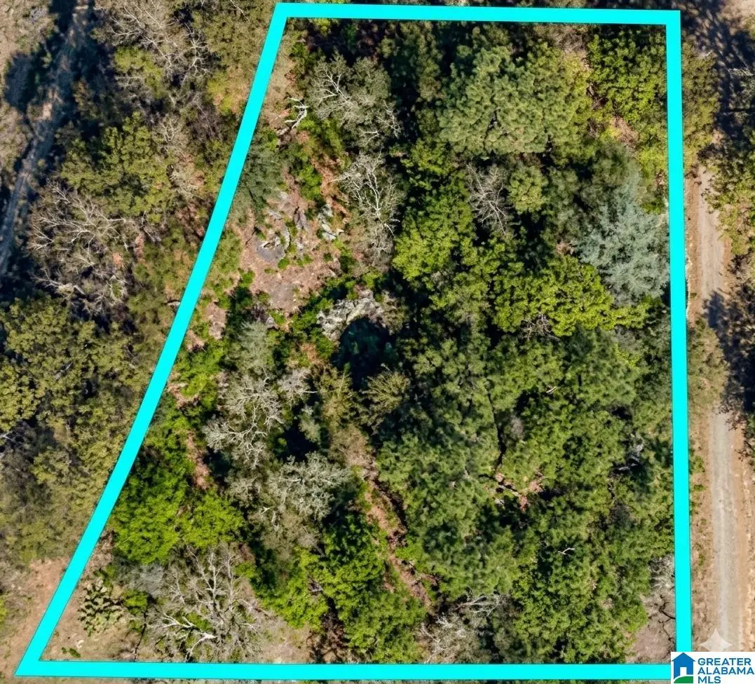 6TH STREET, Hayden, AL 35079 - #1