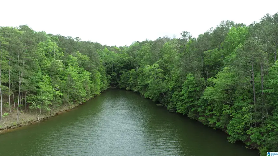 5 COUNTY ROAD 804, Wedowee, AL 36278 - #3