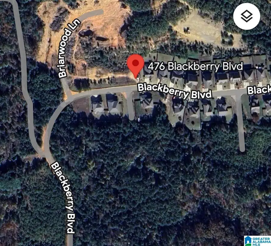 476 BLACKBERRY BOULEVARD, Springville, AL 35146 - #2