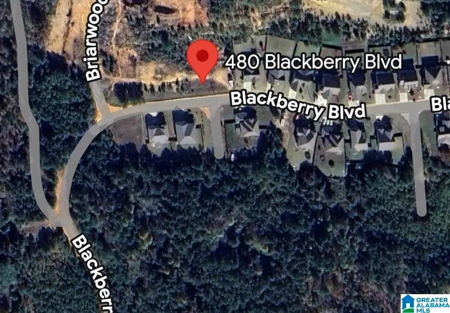480 BLACKBERRY BOULEVARD, Springville, AL 35146 - #2