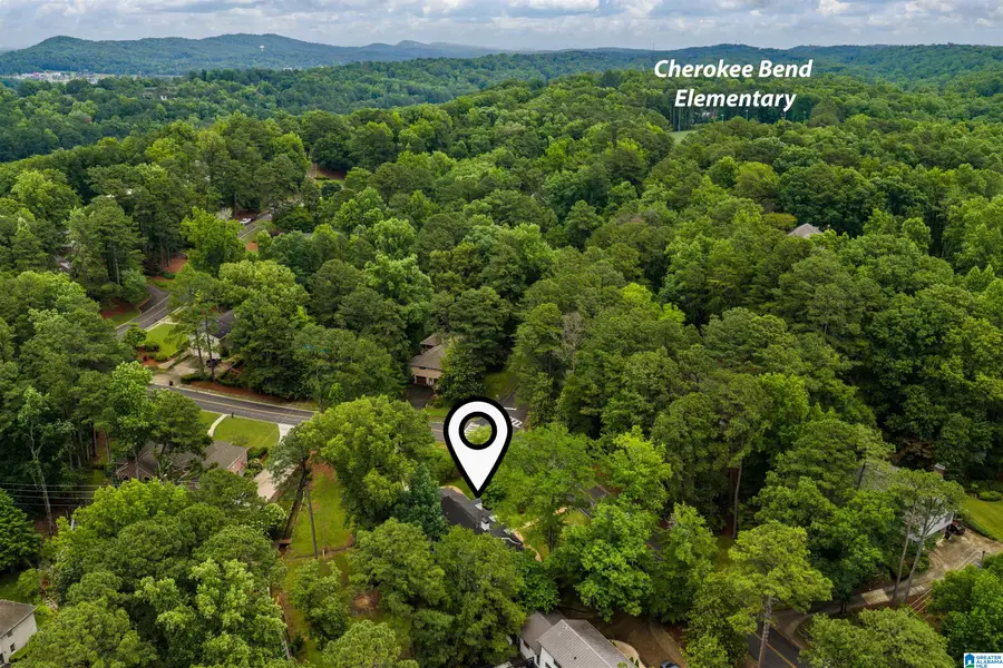 4208 WILDERNESS ROAD, Mountain Brook, AL 35213 - #2