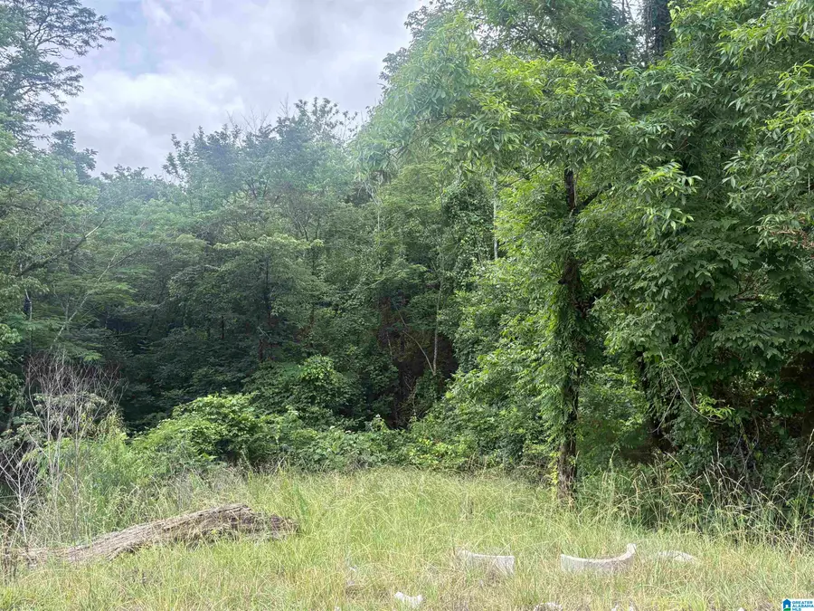 7965 LILES LANE, Trussville, AL 35173 - #3