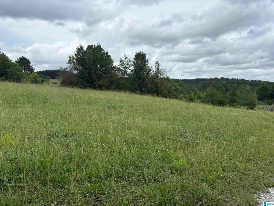 0-2 COUNTY HIGHWAY 13, Cleveland, AL 35049 - #2