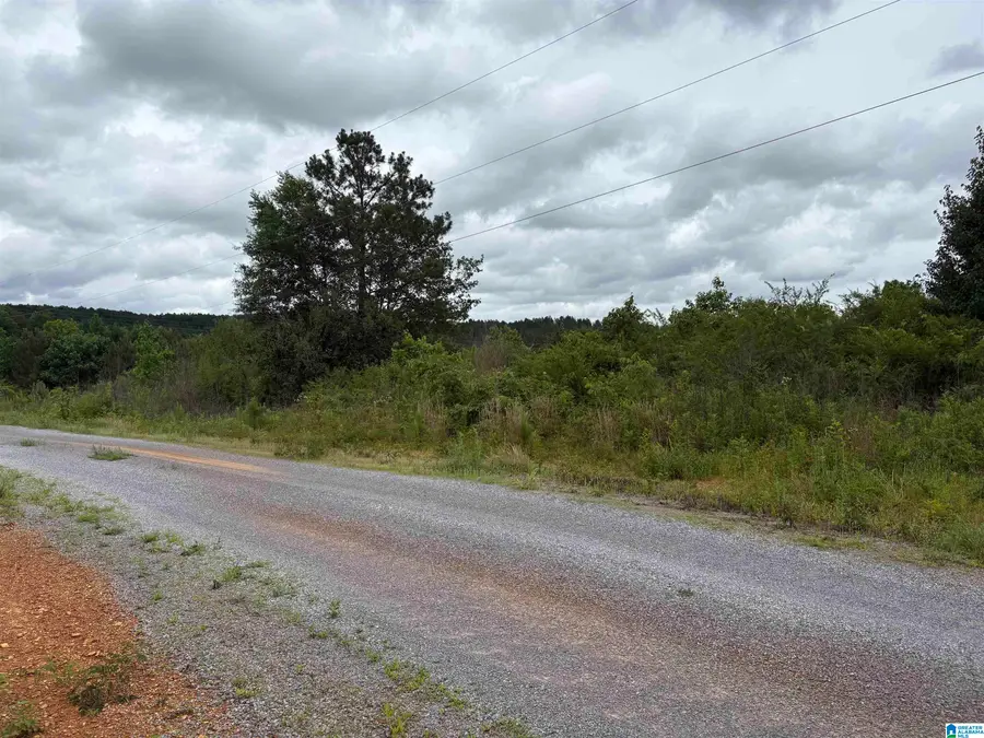 0-2 COUNTY HIGHWAY 13, Cleveland, AL 35049 - #3