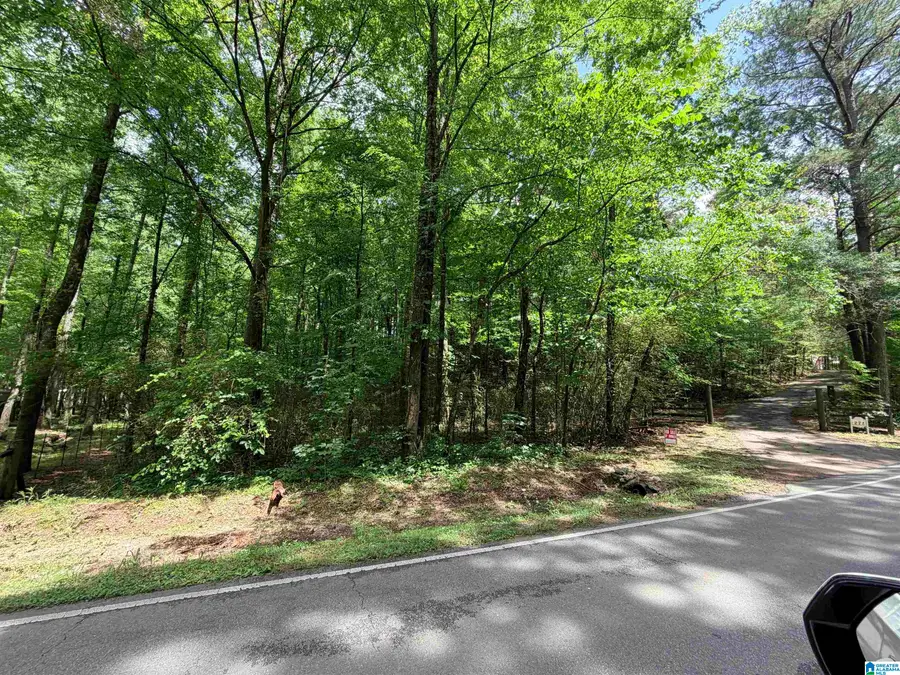 001 DEANS FERRY ROAD, Hayden, AL 35079 - #3
