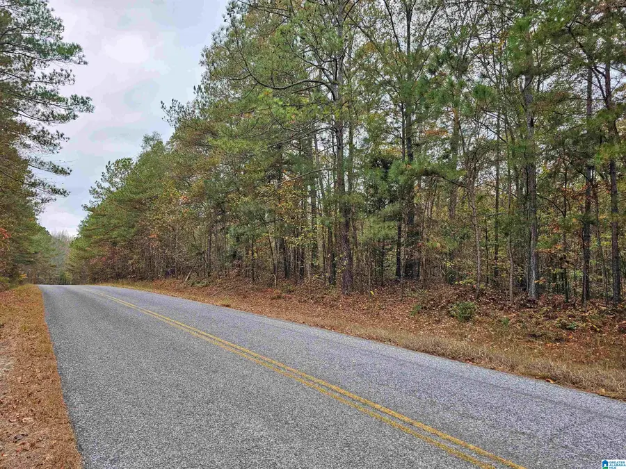 UNKN COUNTY ROAD 60, Heflin, AL 36264 - #2