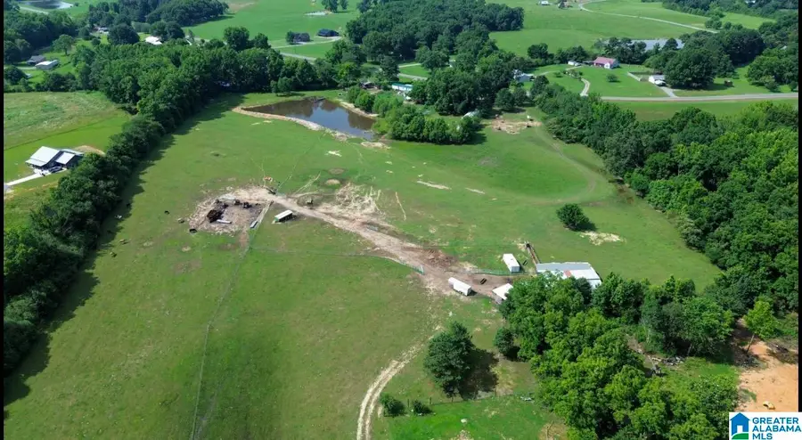 E HIGHWAY 55 E, Eva, AL 35621 - #2