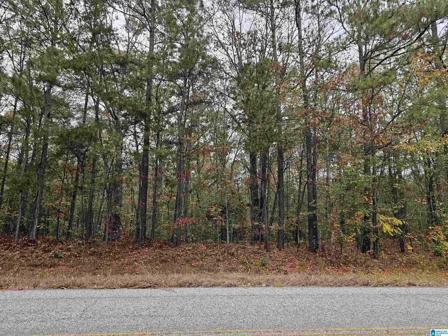 UNKN COUNTY ROAD 60, Heflin, AL 36264 - #2