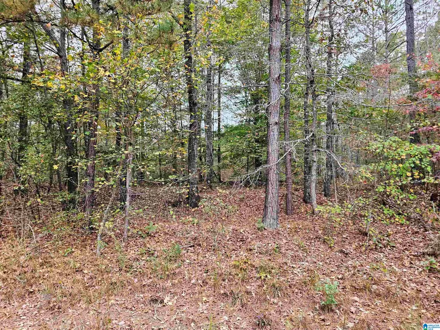 UNKN COUNTY ROAD 60, Heflin, AL 36264 - #3
