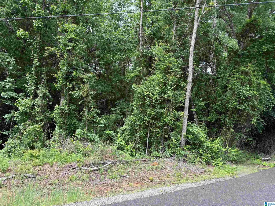 Lot 65 ASHBOROUGH DRIVE, Cottondale, AL 35453 - #2