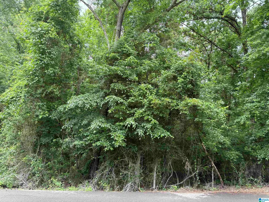 Lot 65 ASHBOROUGH DRIVE, Cottondale, AL 35453 - #3