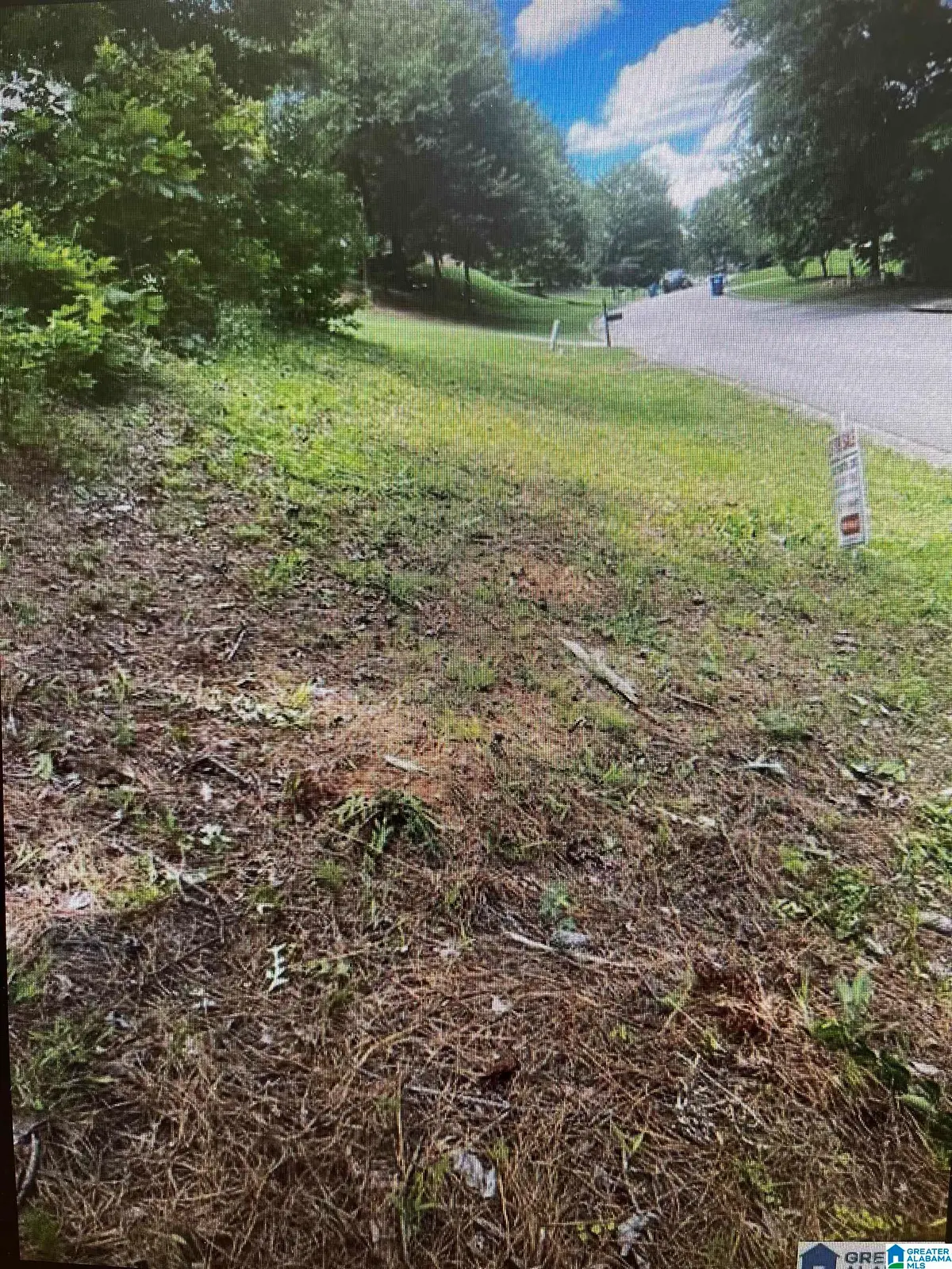 1202 WOODLANDS WAY, Hoover, AL 35080 - #1