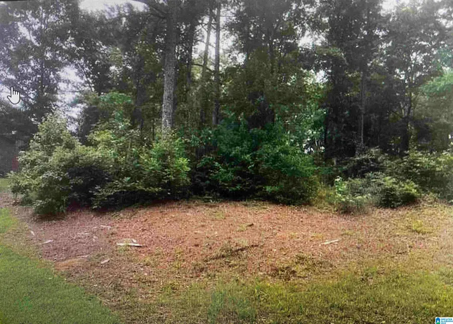 1202 WOODLANDS WAY, Hoover, AL 35080 - #2