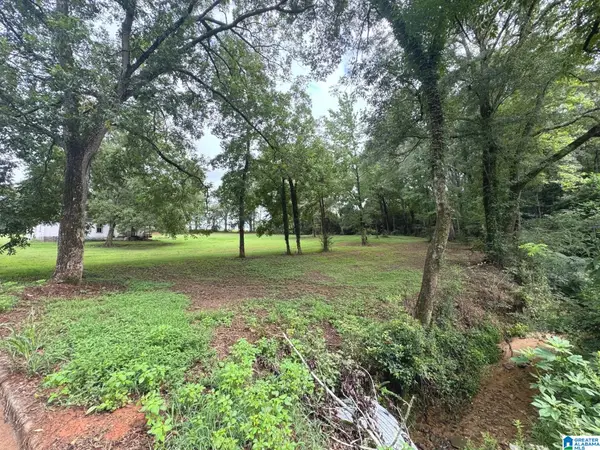 5TH AVENUE, Ashland, AL 36251