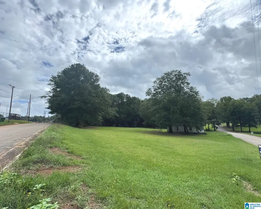 5TH AVENUE, Ashland, AL 36251 - #3