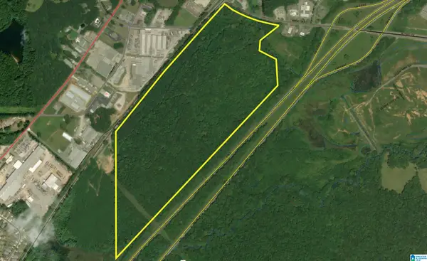 HIGHWAY 174, Springville, AL 35146
