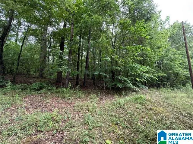 0000 WESTOVER ROAD, Westover, AL 35147 - #2