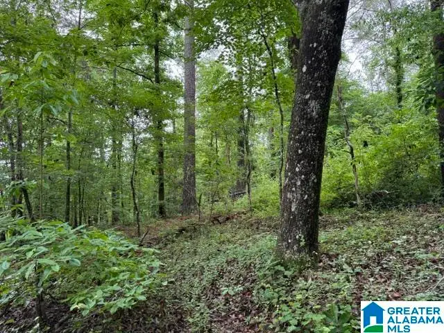 0000 WESTOVER ROAD, Westover, AL 35147 - #3