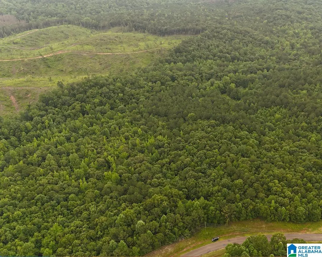 0 COUNTY ROAD 804, Wedowee, AL 36278 - #1
