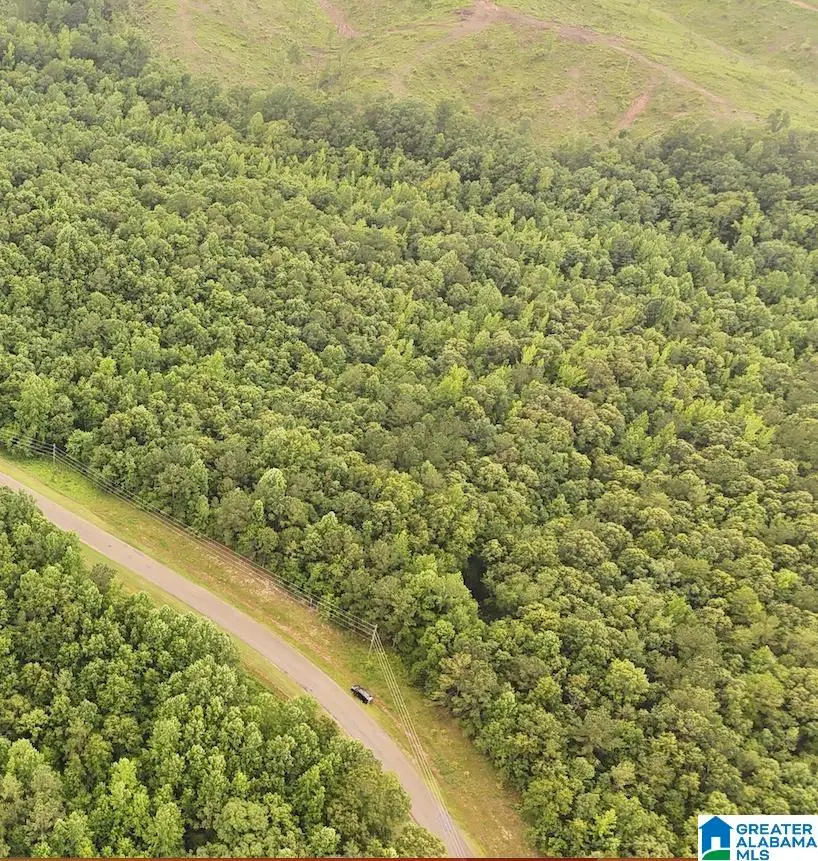 0 COUNTY ROAD 804, Wedowee, AL 36278 - #2