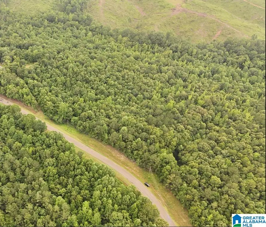 0 COUNTY ROAD 804, Wedowee, AL 36278 - #3