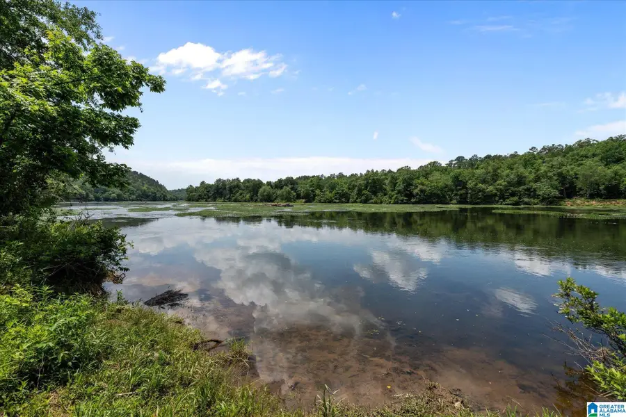 1456 COUNTY ROAD 854, Wadley, AL 36276 - #2
