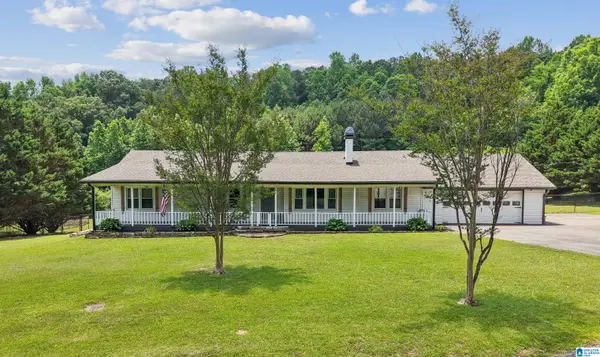 233 VILLAGE SPRINGS ROAD, Springville, AL 35146