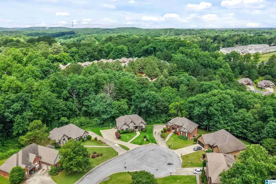 576 FULTONBROOK DRIVE, Fultondale, AL 35068 - #2