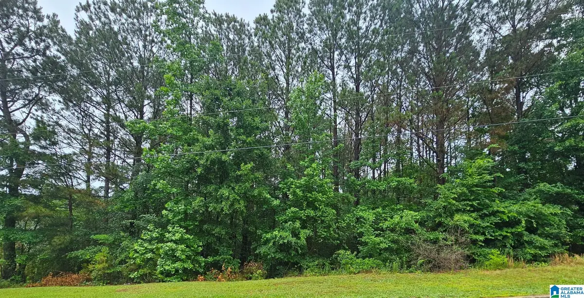 Lot  32 MAYNOR LANE, Oneonta, AL 35121 - #1