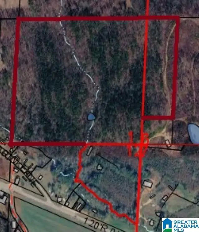 UNKN HIGHWAY 46, Heflin, AL 36264 - #1