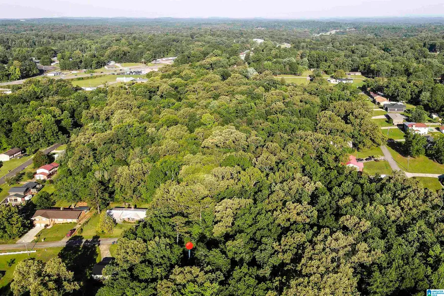 0 GLADE VIEW DRIVE, Anniston, AL 36206 - #2