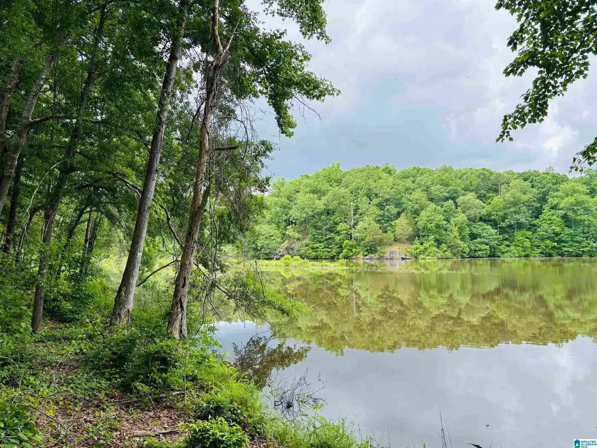 Lot 8 COUNTY ROAD 499, Woodland, AL 36280 - #1