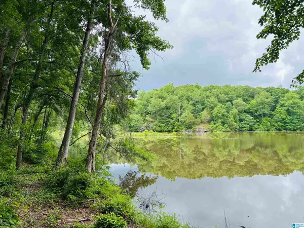 Lot 8 COUNTY ROAD 499, Woodland, AL 36280