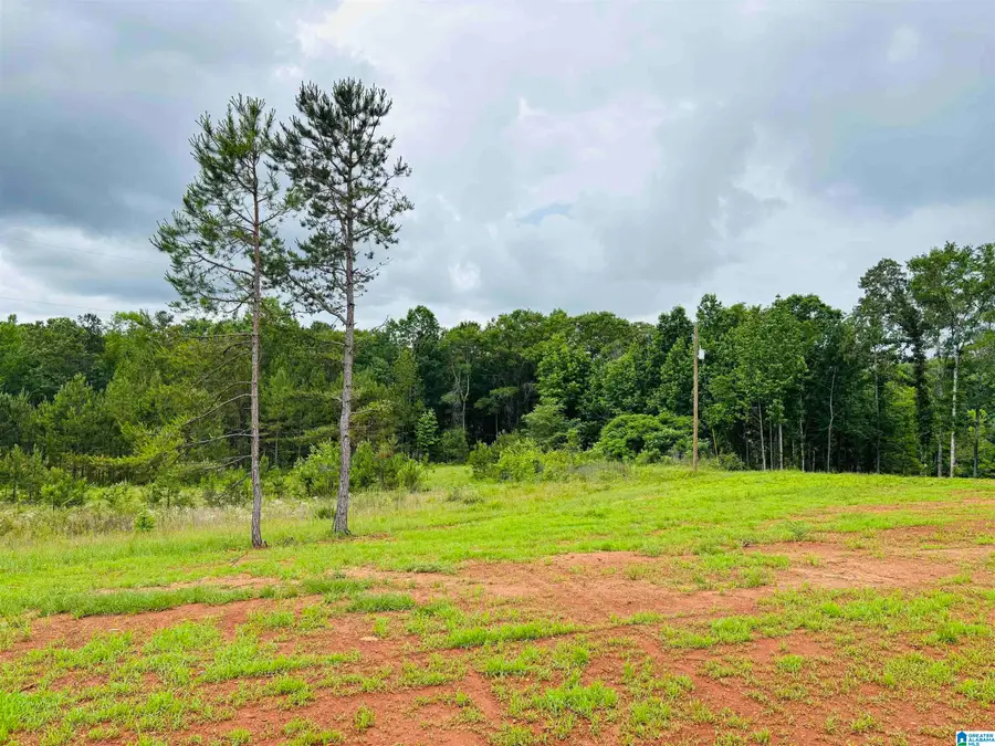 Lot 8 COUNTY ROAD 499, Woodland, AL 36280 - #2