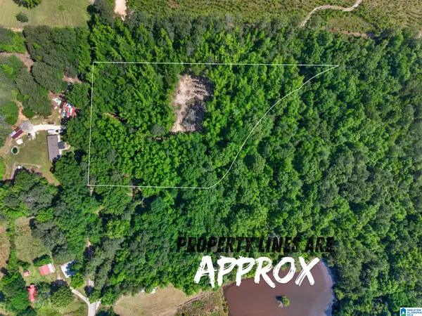 0 PRUITT ROAD, Piedmont, AL 36272