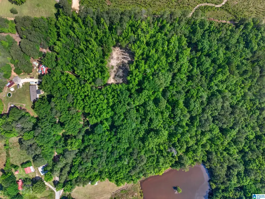 0 PRUITT ROAD, Piedmont, AL 36272 - #3