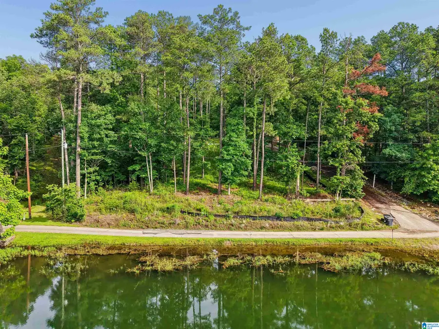 526 CAHABA SPRINGS DRIVE, Trussville, AL 35173 - #3