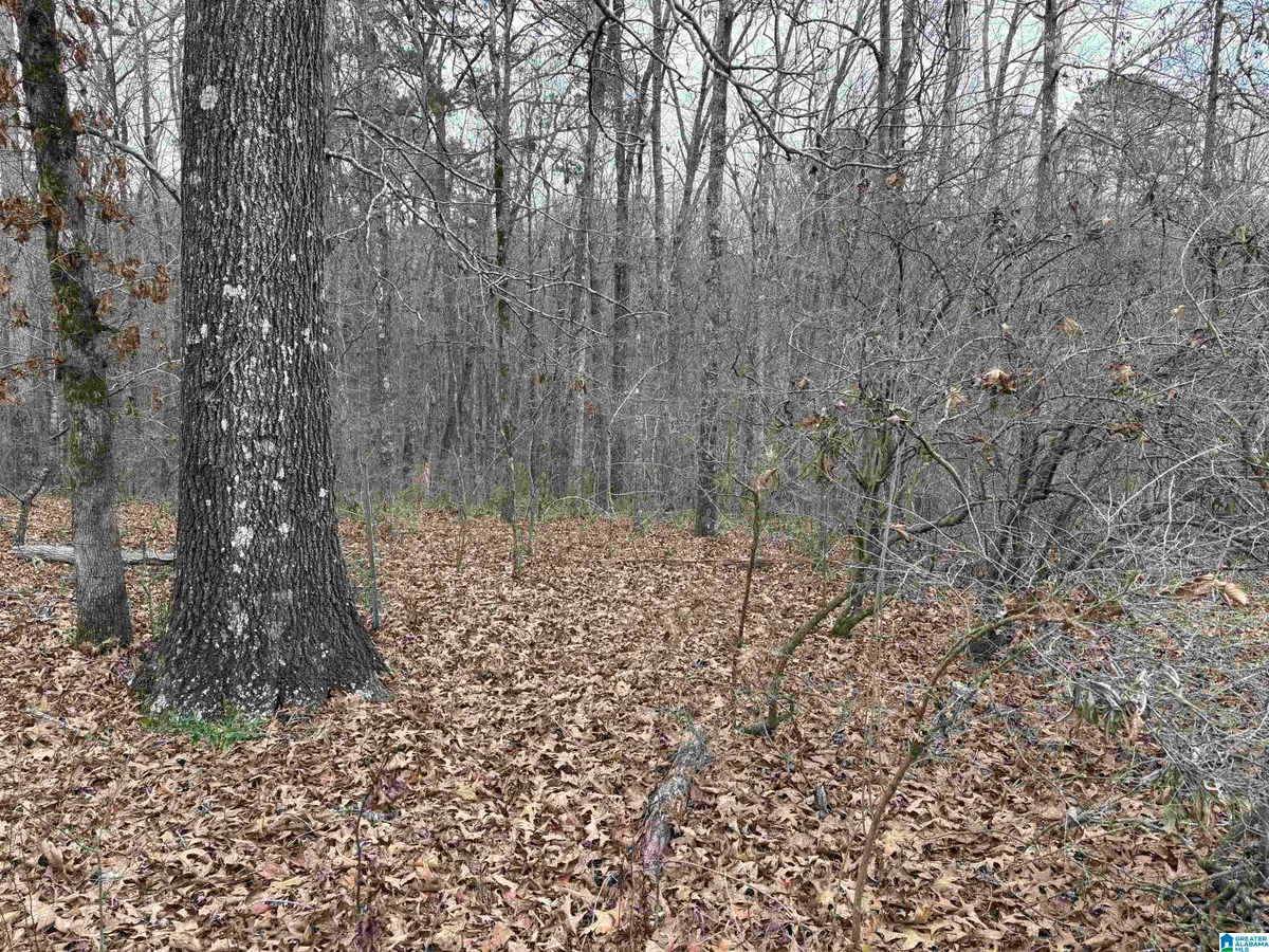 9906 TRAMMEL ROAD, Dora, AL 35062 - #1