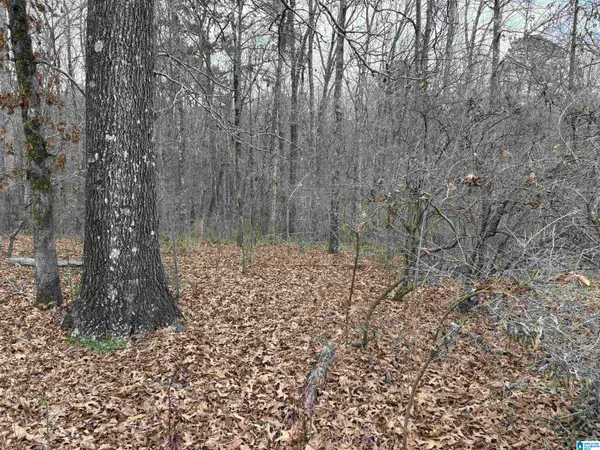 9906 TRAMMEL ROAD, Dora, AL 35062