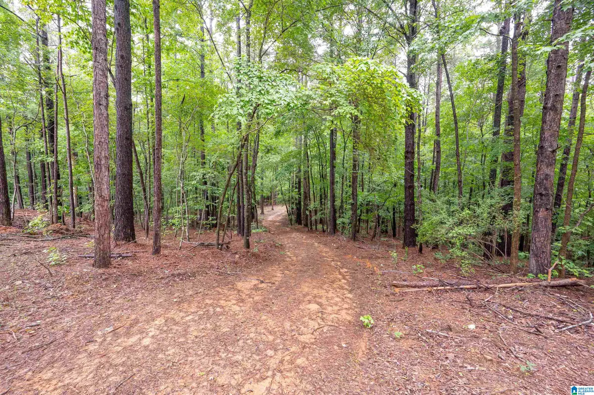 284 NICHOLS ROAD, Chelsea, AL 35043 - #1