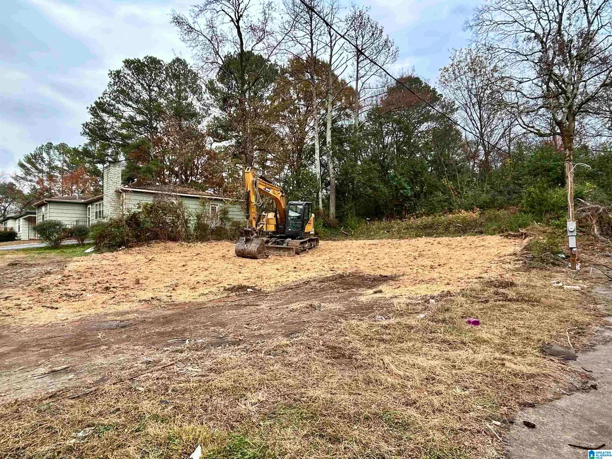 317 13TH AVENUE NW, Birmingham, AL 35215 - #1