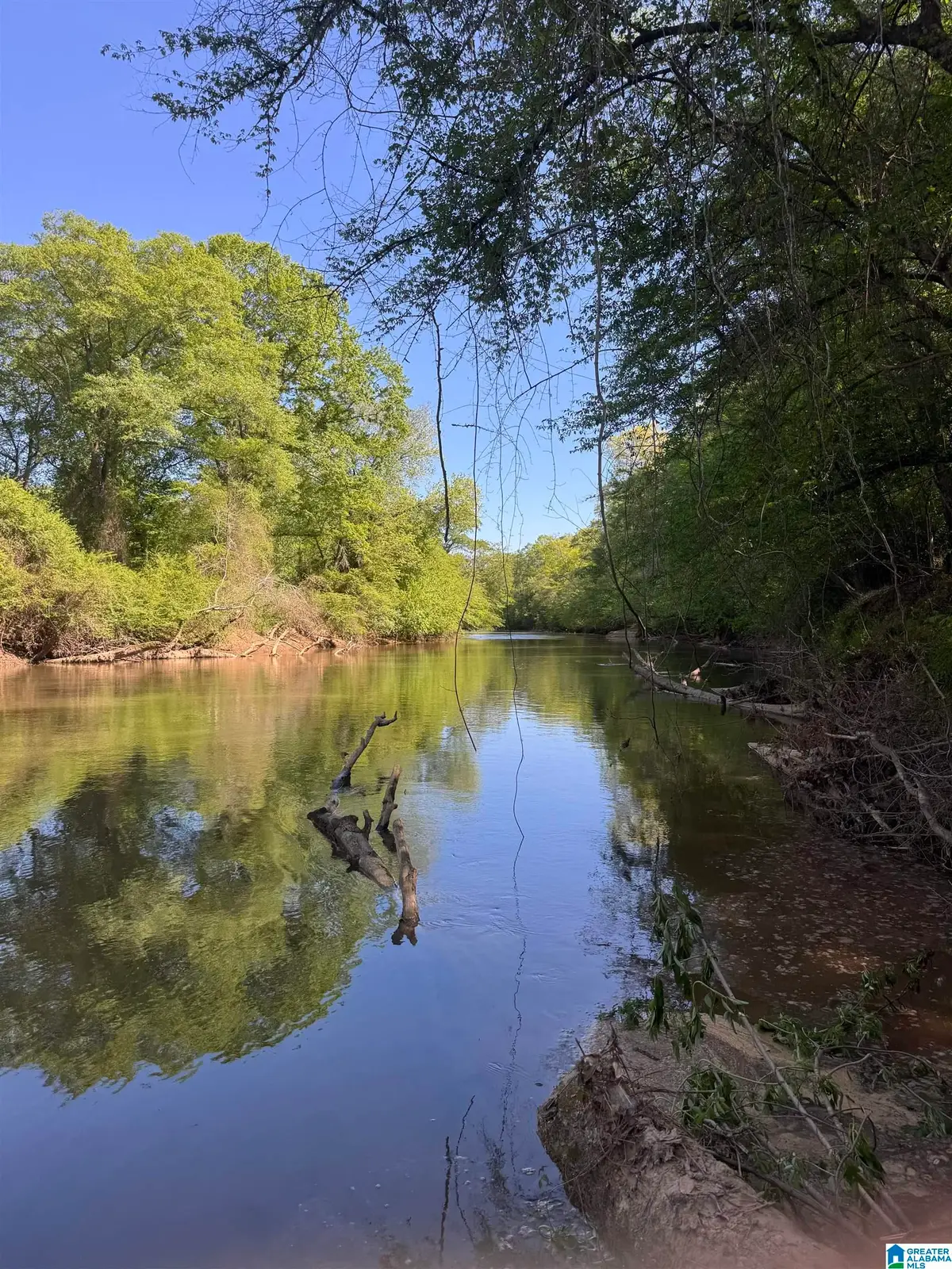 0 COUNTY ROAD 432, Woodland, AL 36280 - #1