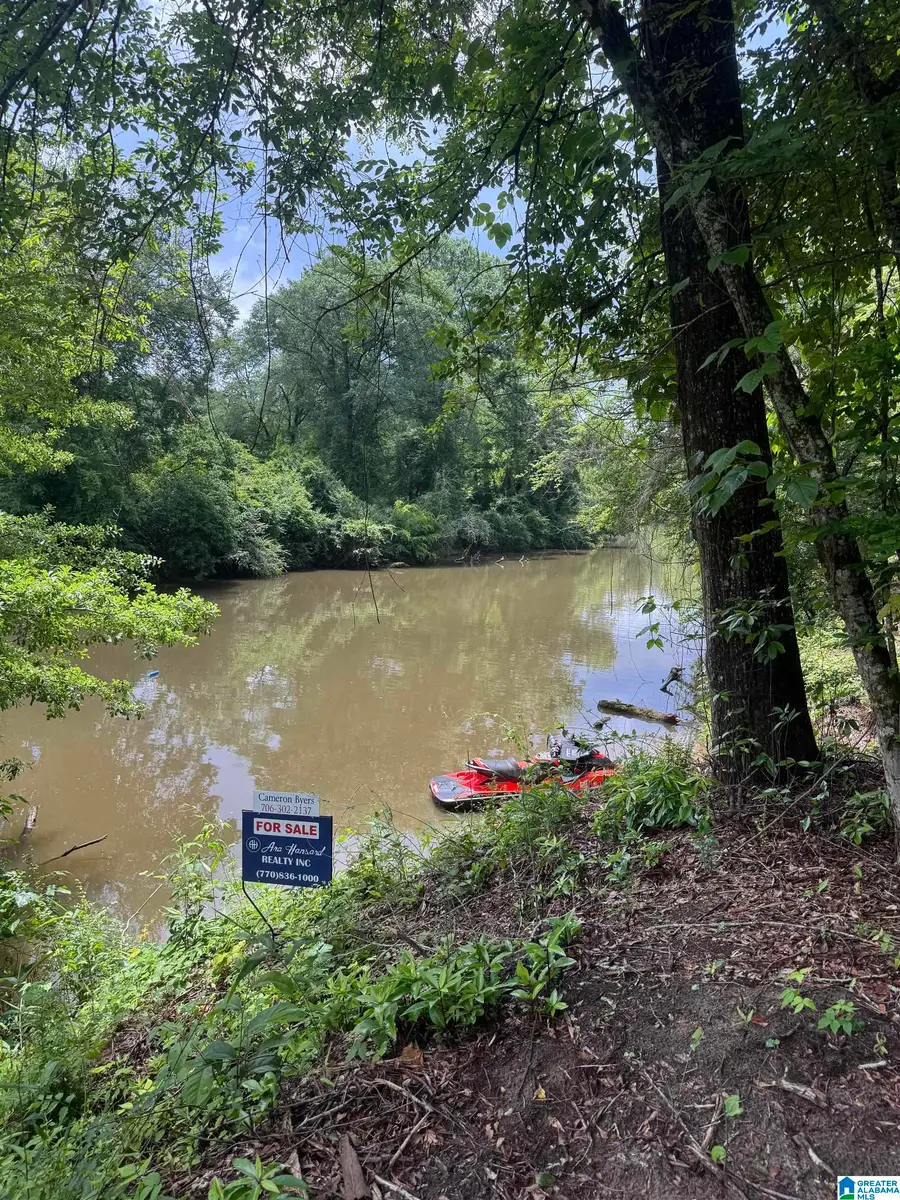 0 COUNTY ROAD 432, Woodland, AL 36280 - #3
