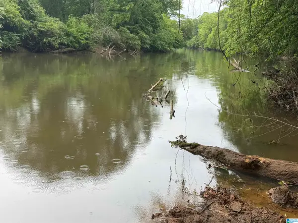 0 COUNTY ROAD 432, Woodland, AL 36280